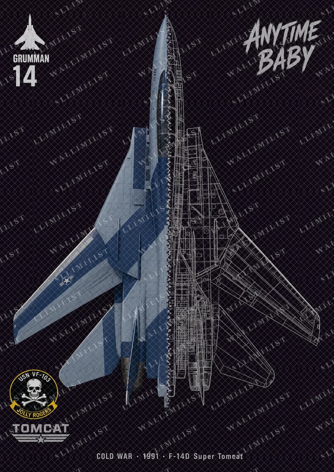 Actual watermarked print of F-14D Super Tomcat