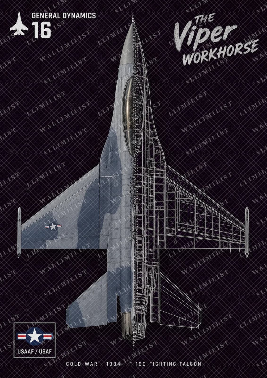 Actual watermarked print of F-16C Fighting Falcon — Aircraft Cutaway